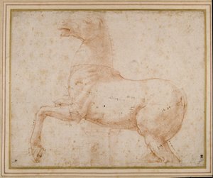Studie koně (pero, inkoust a tužka na papíře) od Raphael