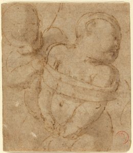 Cupid Bound od Raphael