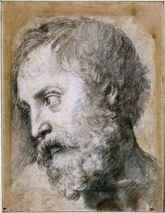 Vedoucí Apoštolského studia proměny, 1519-1520 od Raffaello Sanzio Raphael