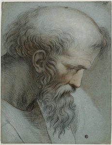 Hlava Pythagora od Raphael