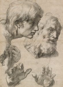 Studie o hlavách dvou apoštolů a jejich rukou, 16. století od Raphael