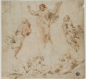 Proměna od Raphael