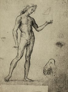 Studie mužského aktu; kresba od Raphaela. Gallerie dellAccademia, Benátky