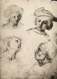 Studie čtyř mužských tváří; kresba od Raphaela. Gallerie dellAccademia, Benátky od Raffaello Sanzio Raphael