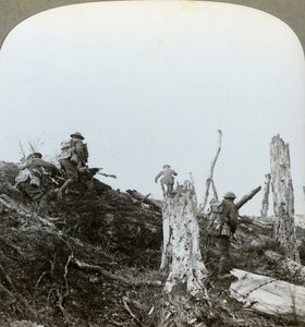 Útok v Trones Wood, Somme, Francie, první světová válka, 1916 od Realistic Travels Publishers