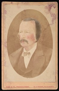Portrét Dr. Thomase M. Logarda, 1873. od Reed and Co