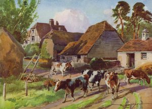Ilustrace pro Moje farma (barevné lito) od Reginald Mills