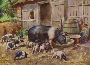Ilustrace pro Moje farma (barevné lito) od Reginald Mills
