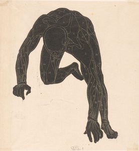 Anatomická studie svalů krku, paží a nohou muže v siluetě od Reijer Stolk