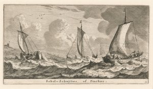 "Scholshuiten" nebo "Pinken"