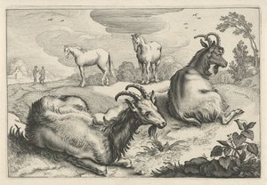 Krajina se dvěma kozami a dvěma koňmi Diversa Animalia Quadrupedia (název série)