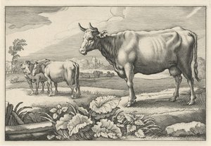 Pastviny s krávami Diversa Animalia Quadrupedia (název série)