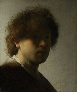 Autoportrét jako mladý muž, cca 1628 (olej na panelu) od Rembrandt van Rijn