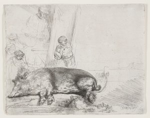 Prase od Rembrandt van Rijn