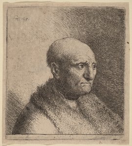 Plešatý muž v kožešinovém plášti od Rembrandt van Rijn