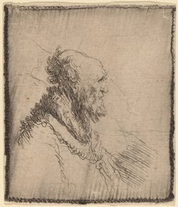 Holohlavý starý muž s krátkým plnovousem z profilu, c. 1635. od Rembrandt van Rijn