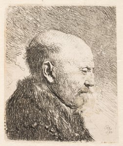 Plešatý muž z profilu (Rembrandtův otec?) od Rembrandt van Rijn