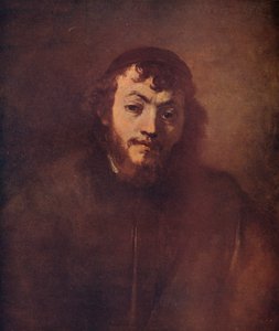 Busta vousatého mladíka s čepicí, 1663 od Rembrandt van Rijn