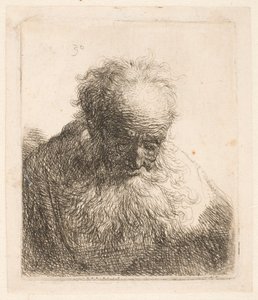 Busta starého muže s vlajícím vousem: hlava skloněná vpřed: levé rameno nezastíněné od Rembrandt van Rijn