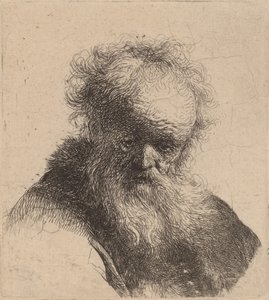 Busta starého muže s vlajícím plnovousem a bílým rukávem, c. 1630. od Rembrandt van Rijn