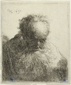Busta starého muže s vlajícím plnovousem: Hlava skloněná dopředu: Levé rameno nezastíněné od Rembrandt van Rijn