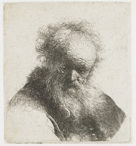 Busta starého muže s vlajícím plnovousem a bílým rukávem od Rembrandt van Rijn