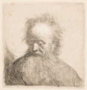 Busta starého muže s rozpuštěným vousem: hlava téměř vzpřímená: oči sklopené: pohled mírně doleva od Rembrandt van Rijn