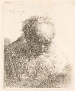 Busta starého muže s rozpuštěnou bradou: hlava skloněná dopředu; levé rameno není ve stínu od Rembrandt van Rijn