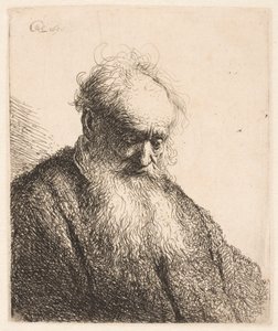 Busta starého muže s rozpuštěnou bradou: hlava nakloněná o tři čtvrtiny doprava od Rembrandt van Rijn