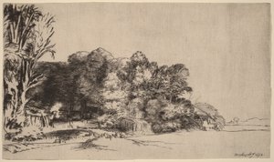 Skupina stromů s výhledem od Rembrandt van Rijn