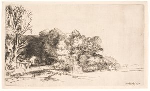 Shluk stromů s výhledem od Rembrandt van Rijn