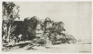 Shluk stromů s výhledem od Rembrandt van Rijn