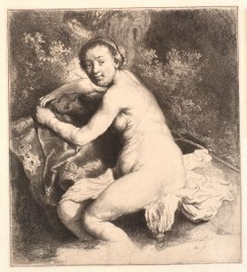 Diana ve vaně od Rembrandt van Rijn