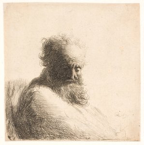 Starý vousatý muž. poprsí od Rembrandt van Rijn