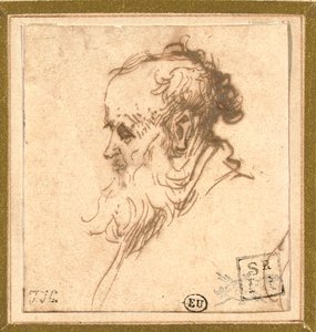 Hlava vousatého muže z profilu vlevo od Rembrandt van Rijn