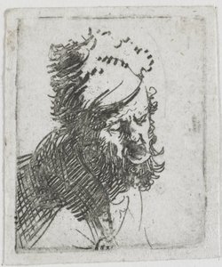 Hlava muže v kožešinové čepici, který křičí od Rembrandt van Rijn
