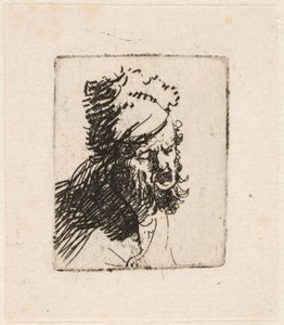 Hlava muže v kožešinové čepici, který křičí od Rembrandt van Rijn