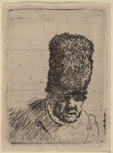 Hlava starého muže v vysoké kožešinové čepici od Rembrandt van Rijn
