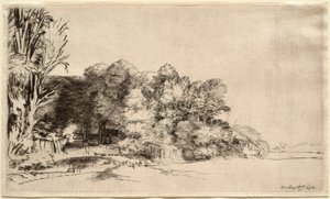 Krajina se skupinou stromů od Rembrandt van Rijn