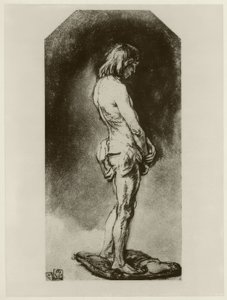 Mužský akt od Rembrandt van Rijn