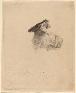Starý muž si zastínil oči rukou od Rembrandt van Rijn