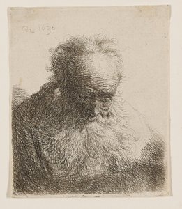 Stařec s dlouhou bradou (hlava skloněná dopředu, levé rameno nezastíněné) od Rembrandt van Rijn