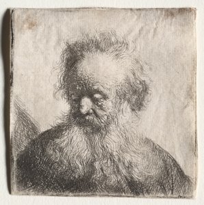 Starý muž s vlajícím plnovousem: Poprsí od Rembrandt van Rijn