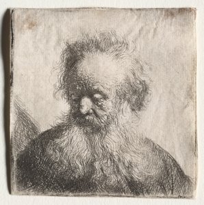 Starý muž s vlajícím vousem: Busta, 1631. od Rembrandt van Rijn