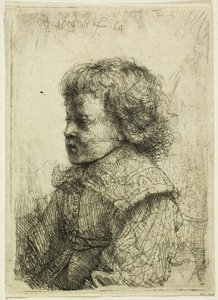 Portrét chlapce od Rembrandt van Rijn