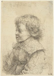 Portrét chlapce od Rembrandt van Rijn