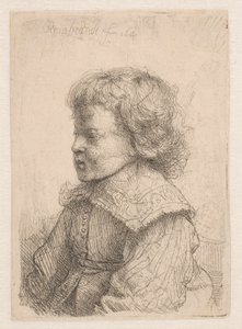 Portrét chlapce z profilu od Rembrandt van Rijn