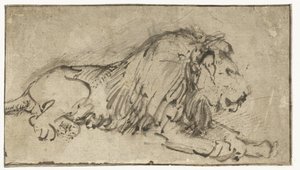 Ležící lev od Rembrandt van Rijn