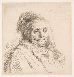 Rembrandtova matka: hlava a poprsí, pohled ze tří čtvrtin od Rembrandt van Rijn
