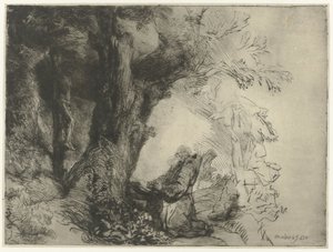 Svatý František pod stromem, modlí se Svatý František pod stromem se modlí od Rembrandt van Rijn